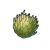 "Balloon fruit" icon