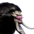 "Abyssal Call (Knowledge)" icon