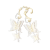 "Golden Butterfly" icon