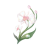 "Rainy Orchid" icon