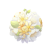 "Florapom" icon