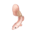 "Brushie" icon