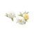 "Surprise Invitation" icon