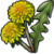 "Dandelion" icon