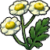 "Feverfew" icon