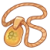 "Four Leaf Clover Necklace" icon