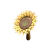 "Full-Bloom Maracas" icon