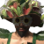 "203 - Hemlock Doc" icon