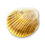 "Gold Cockle" icon