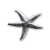 "Silver Nova" icon