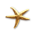 "Golden Supernova" icon
