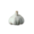 "Garlic" icon