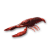 "Crawfish" icon