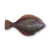 "Flounder" icon