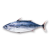 "Skipjack Tuna" icon