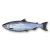 "Salmon" icon