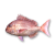 "Sea Bream" icon