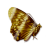"Golden Flutter" icon