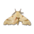 "Moth" icon