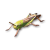 "Grasshopper" icon