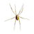 "Golden Spinner" icon