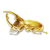 "Golden Greathorn" icon