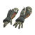 "Chatacabra Vambraces &beta;" icon