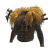 "Doshaguma Mail &alpha;" icon