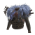 "Blango Mail &beta;" icon