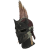 "Conga Helm &alpha;" icon