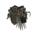 "Gore Coil &beta;" icon