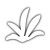 "Saint Luche Leaf" icon