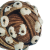 "Chorale" icon