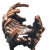"Chromatic P&eacute;tank" icon