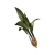 "Pearl Ginger Root" icon