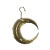 "Crescent Moon Charm" icon