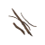 "Withered Branches" icon