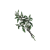 "Pitywort" icon