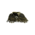 "Vermundian Cloak" icon