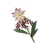 "Noonbloom" icon