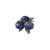 "Blueberry" icon