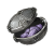 "Fine Fruit Roborant" icon