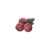 "Raspberry" icon
