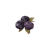 "Ripened Blueberry" icon