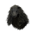 "Howling Hood" icon