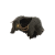 "Lupine Cape" icon