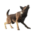 "Dogmeat" icon