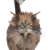 "Kneazle" icon