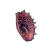 "Venomous Tentacula" icon