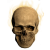 "Stench of the Dead" icon